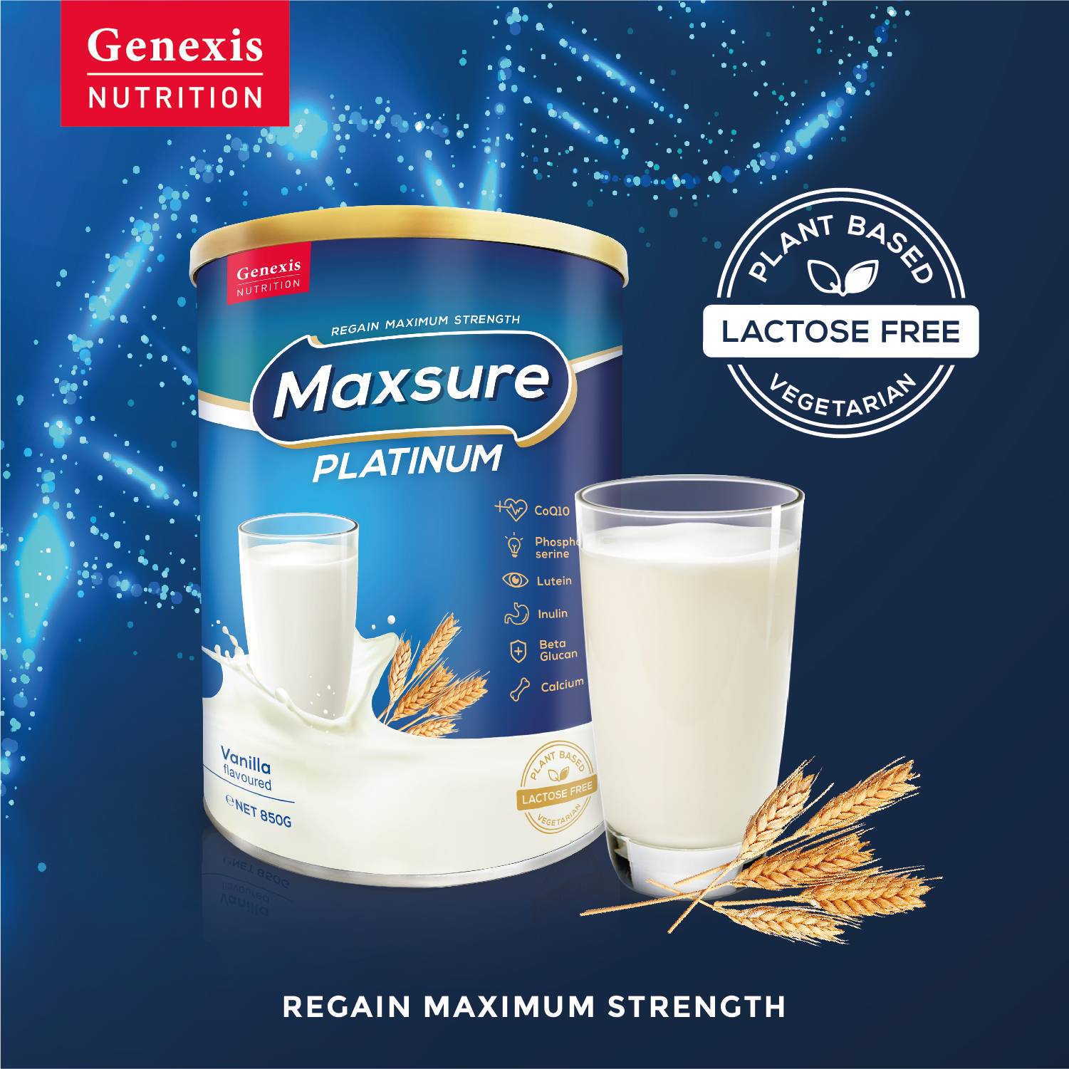 Maxsure Platinum